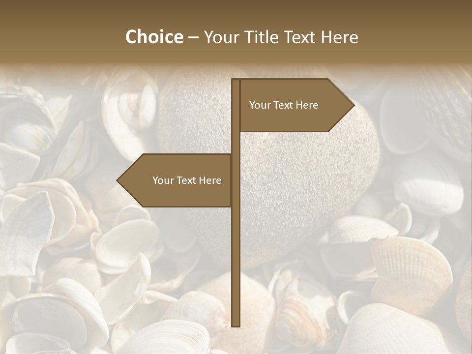 Sea Shell Heart PowerPoint Template