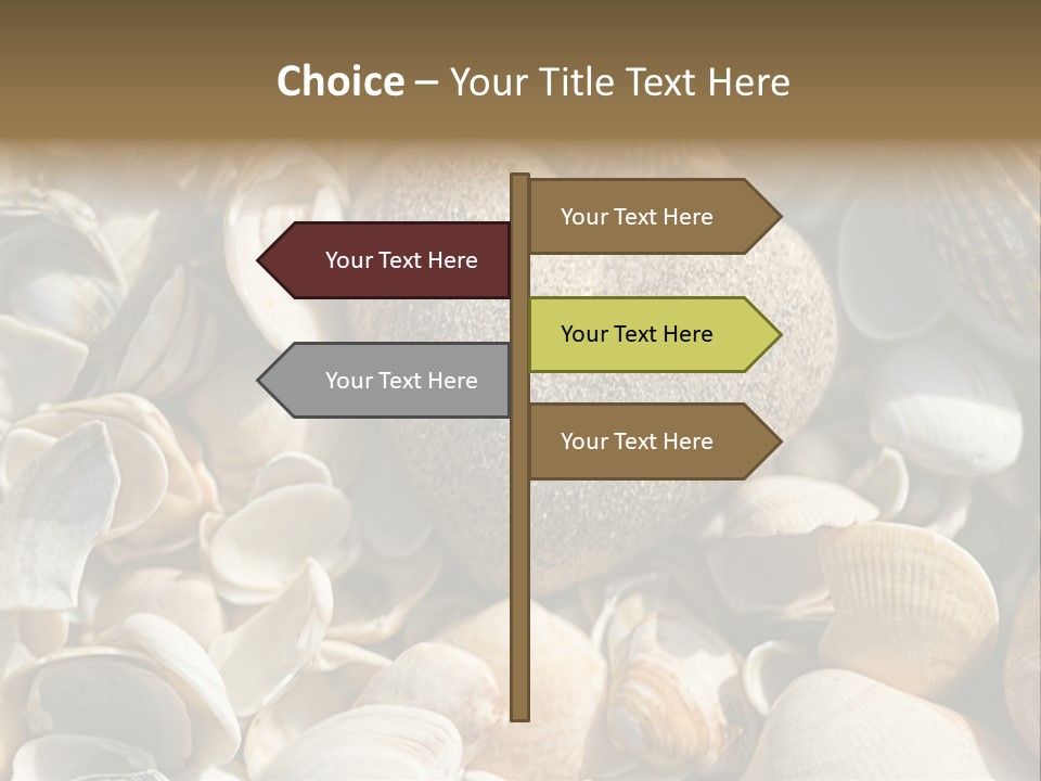 Sea Shell Heart PowerPoint Template