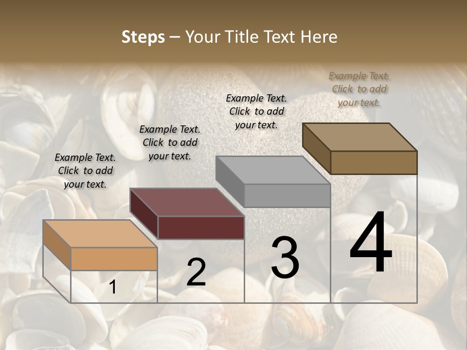 Sea Shell Heart PowerPoint Template