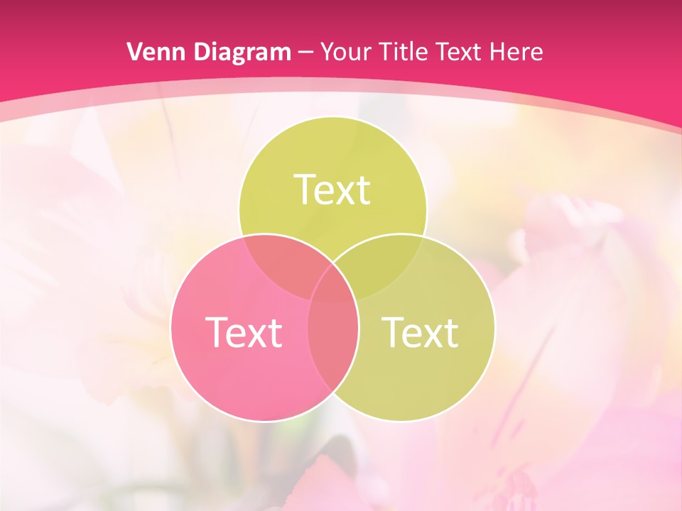 Flowers Bunch Desktops PowerPoint Template