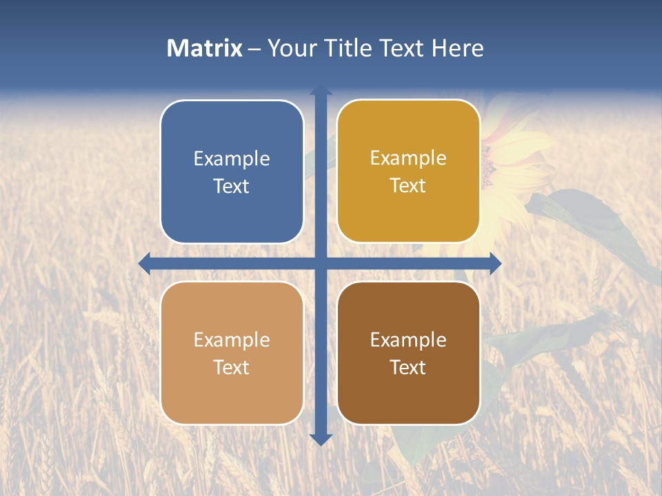 Wheat Sunflower PowerPoint Template