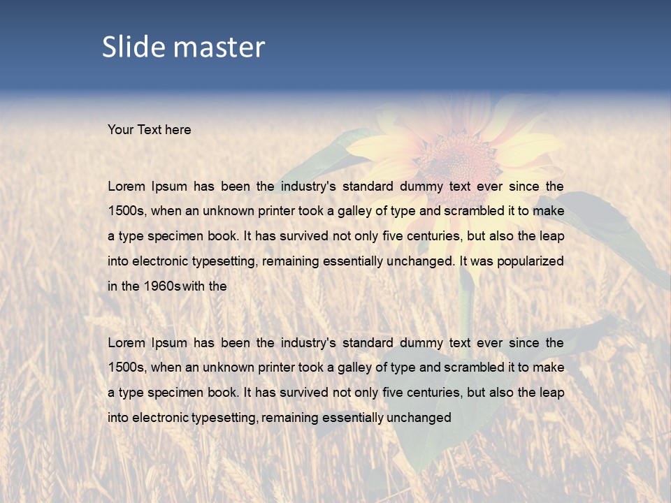 Wheat Sunflower PowerPoint Template