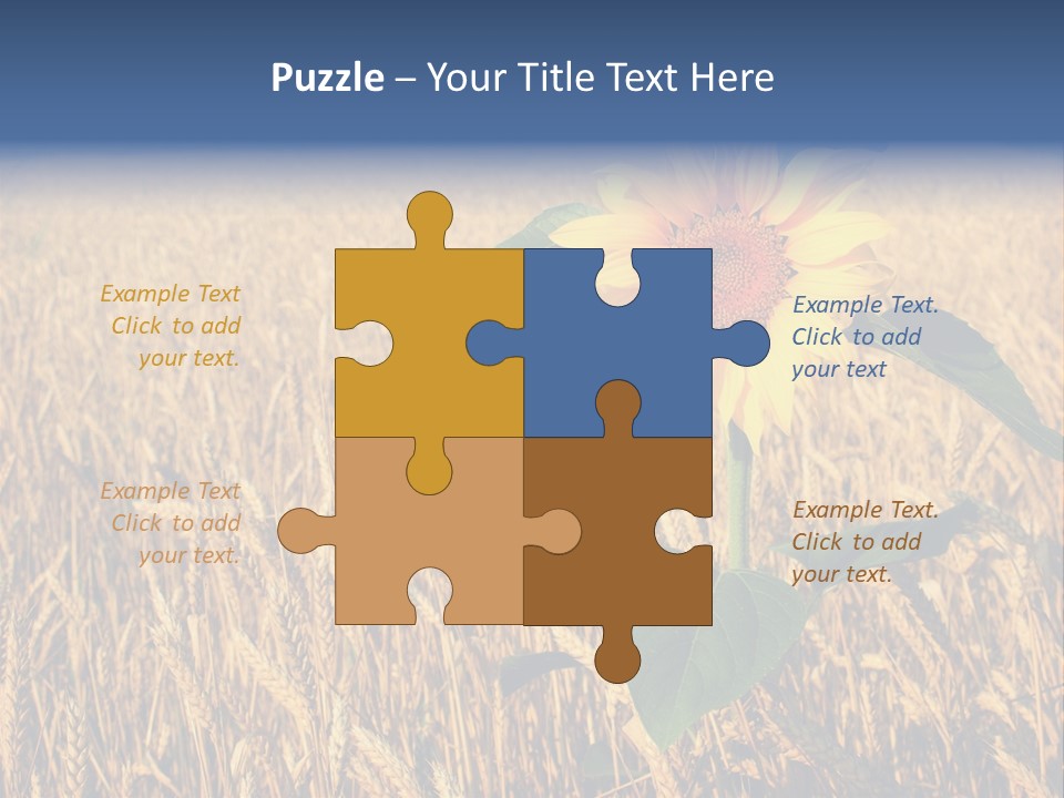 Wheat Sunflower PowerPoint Template