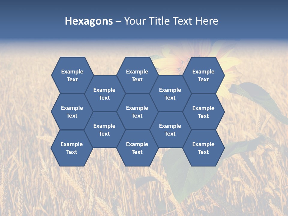 Wheat Sunflower PowerPoint Template