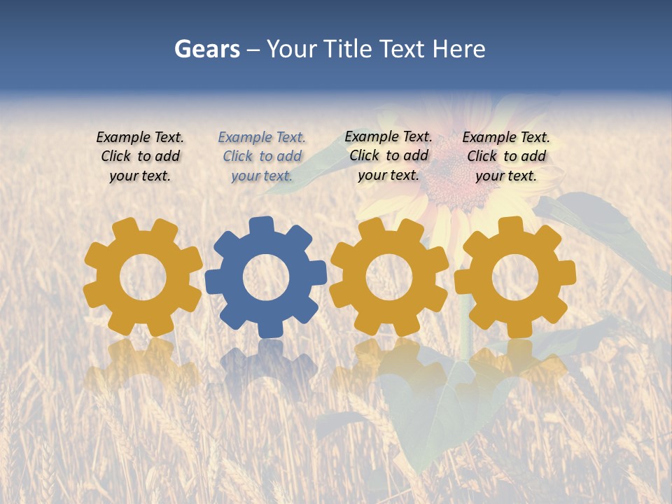 Wheat Sunflower PowerPoint Template