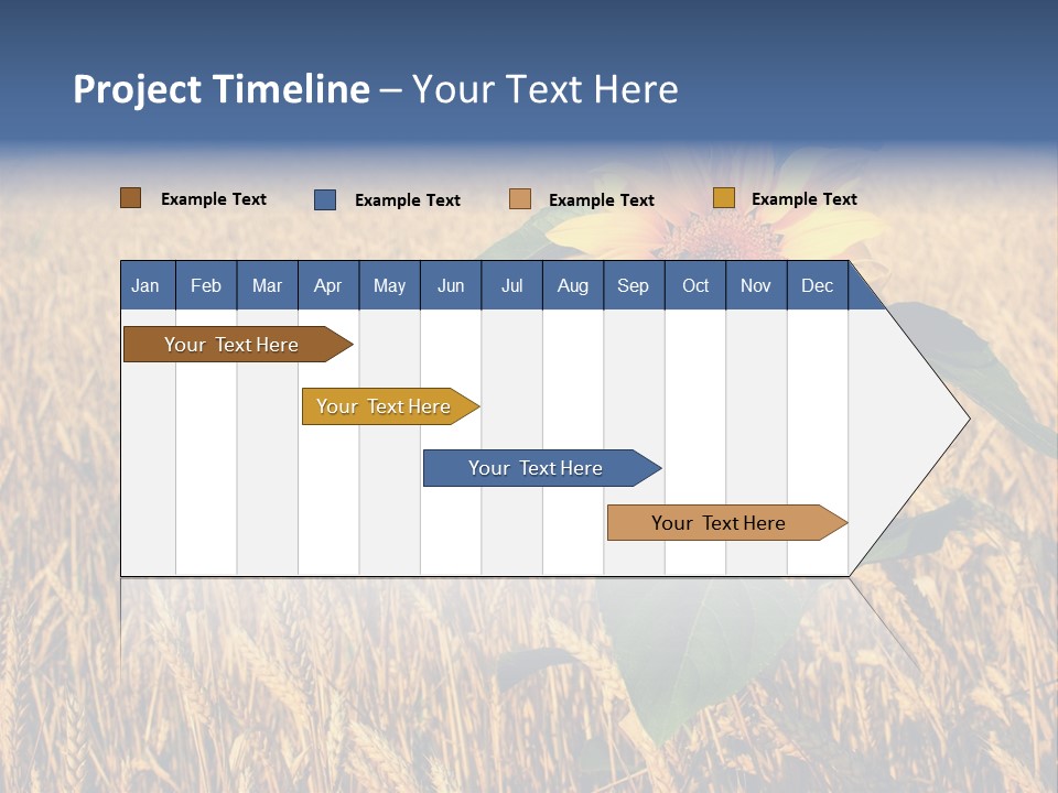 Wheat Sunflower PowerPoint Template