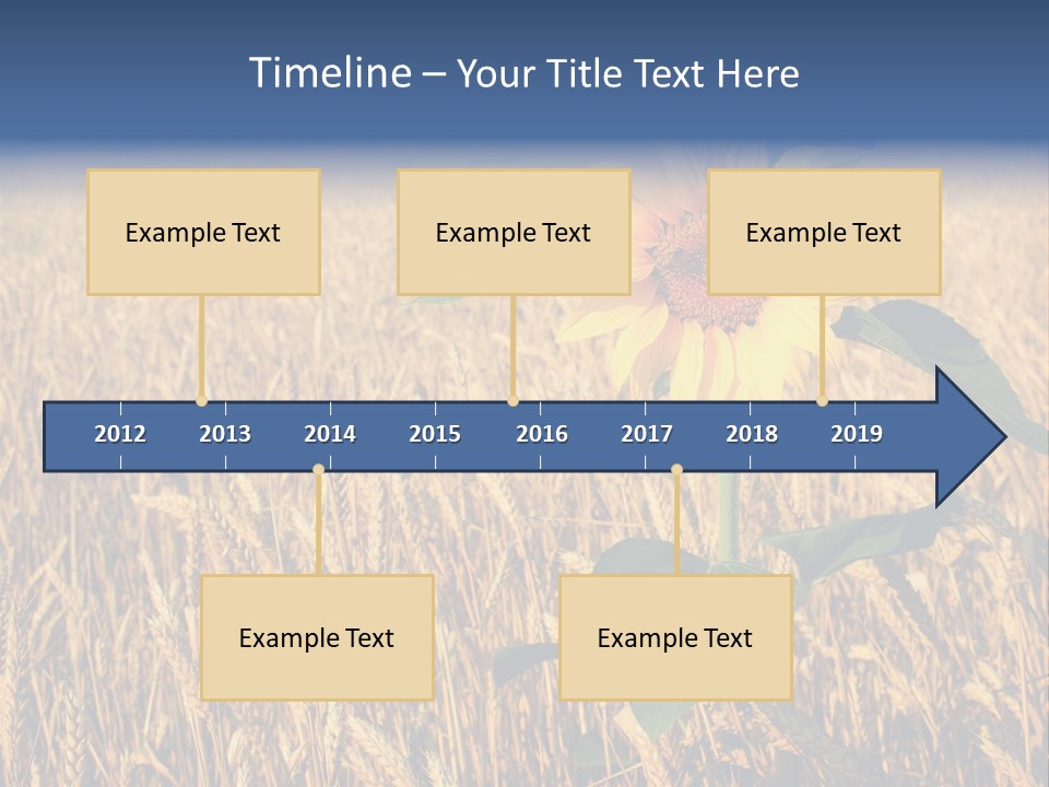 Wheat Sunflower PowerPoint Template