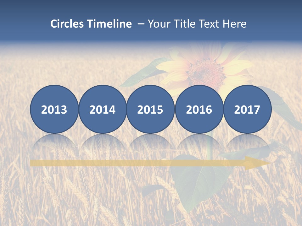 Wheat Sunflower PowerPoint Template