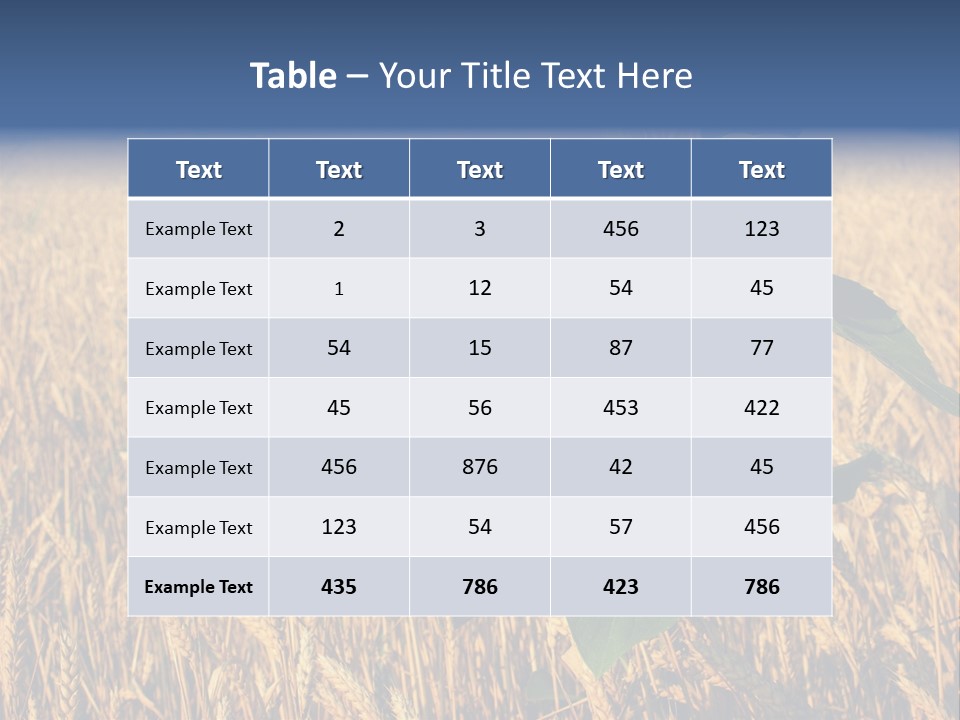 Wheat Sunflower PowerPoint Template