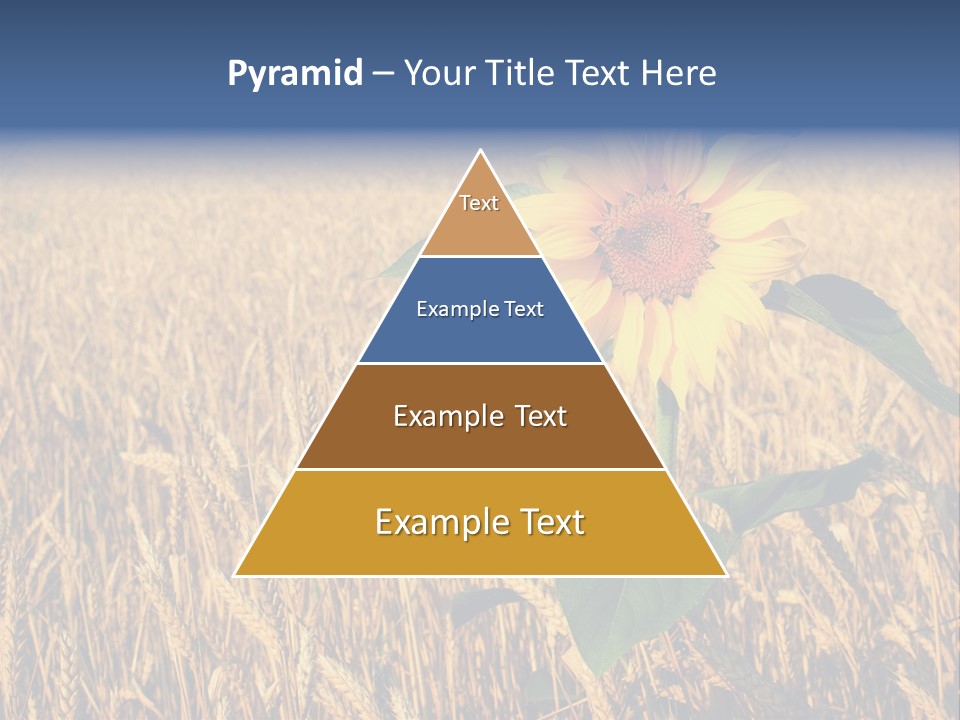 Wheat Sunflower PowerPoint Template