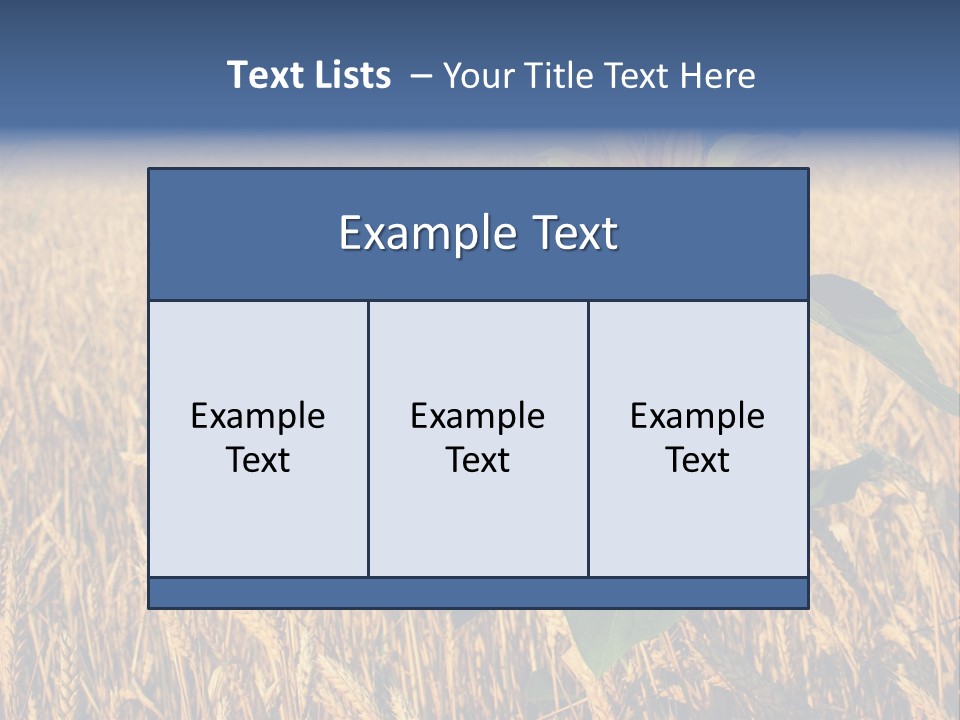 Wheat Sunflower PowerPoint Template