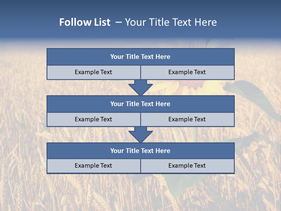 Wheat Sunflower PowerPoint Template