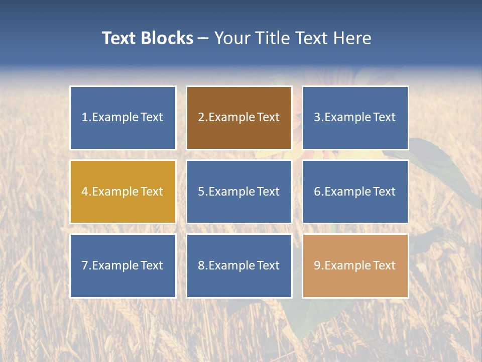 Wheat Sunflower PowerPoint Template