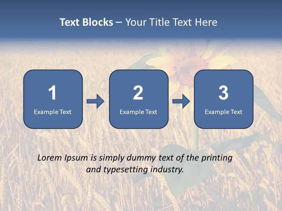 Wheat Sunflower PowerPoint Template