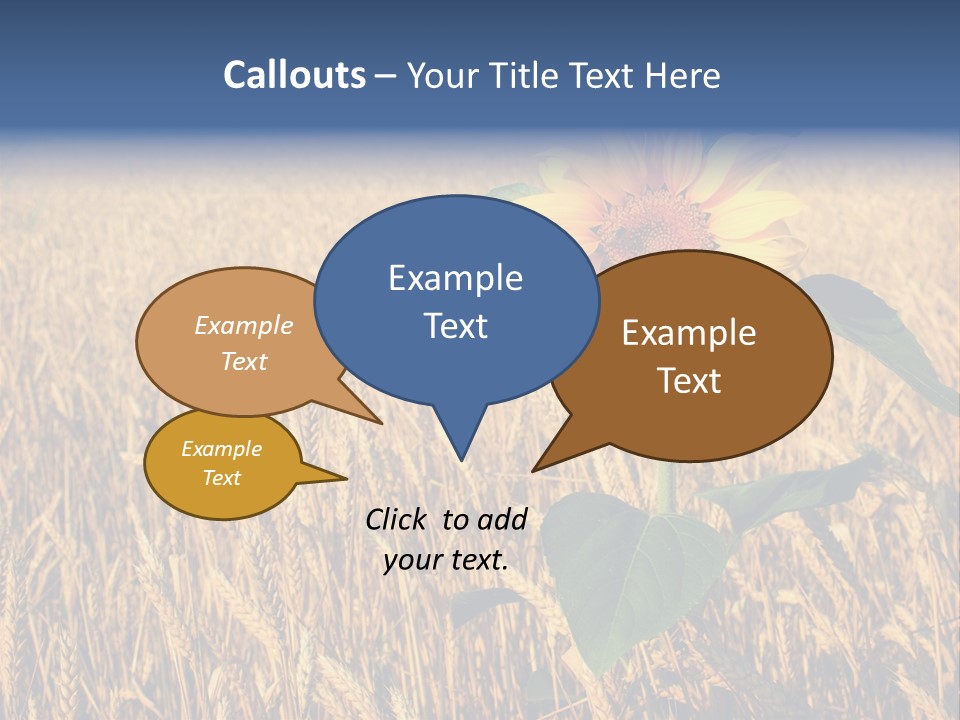 Wheat Sunflower PowerPoint Template