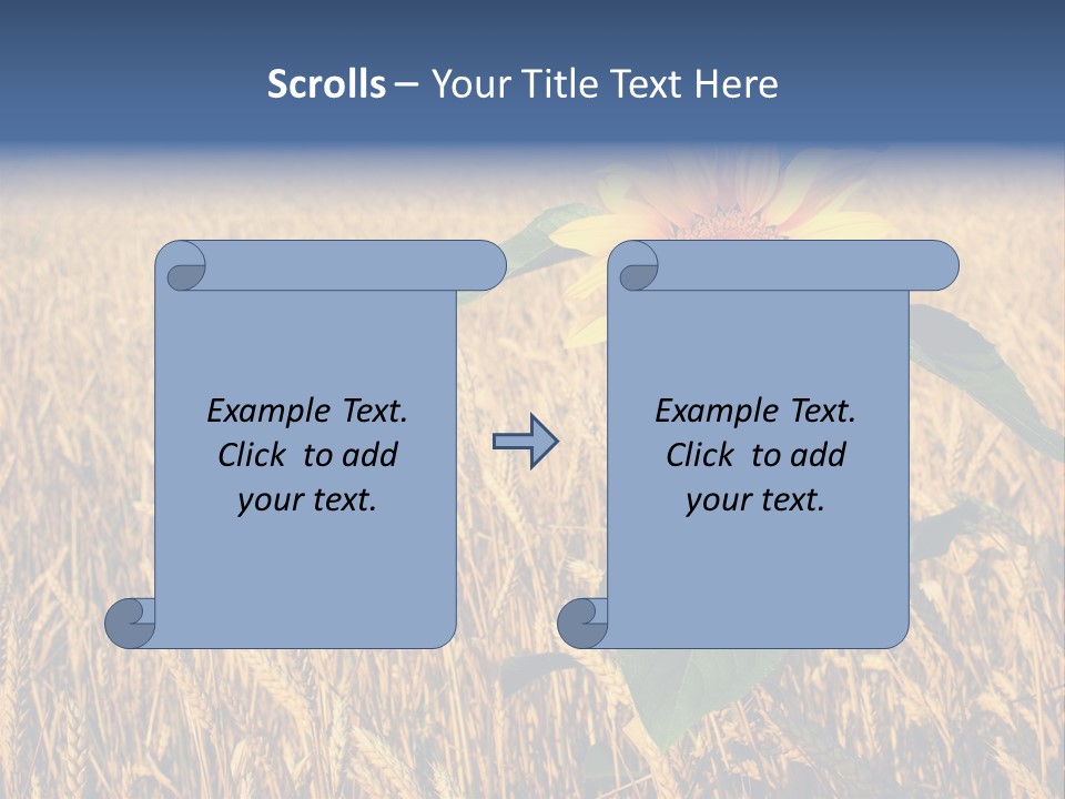 Wheat Sunflower PowerPoint Template