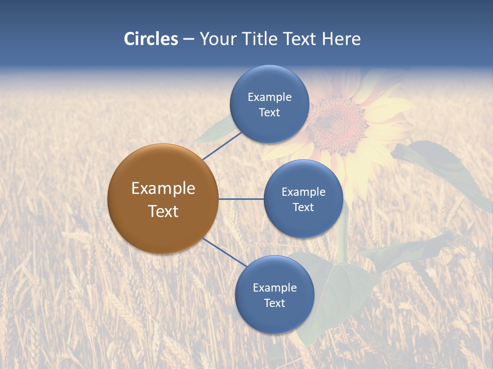 Wheat Sunflower PowerPoint Template