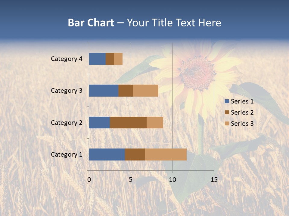 Wheat Sunflower PowerPoint Template