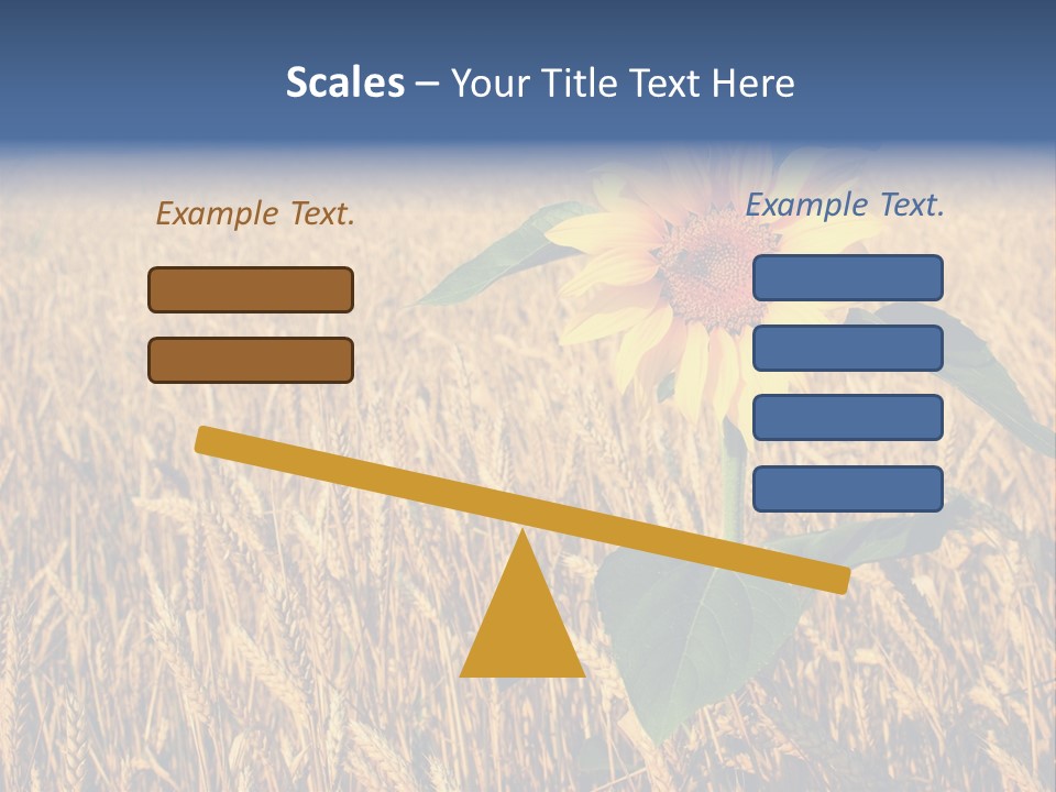Wheat Sunflower PowerPoint Template