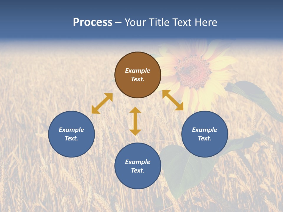 Wheat Sunflower PowerPoint Template