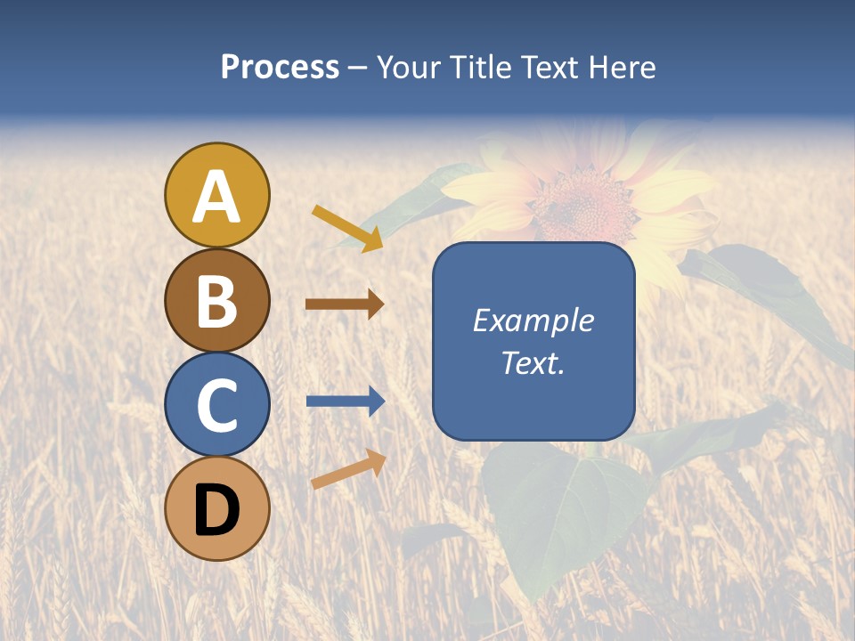 Wheat Sunflower PowerPoint Template