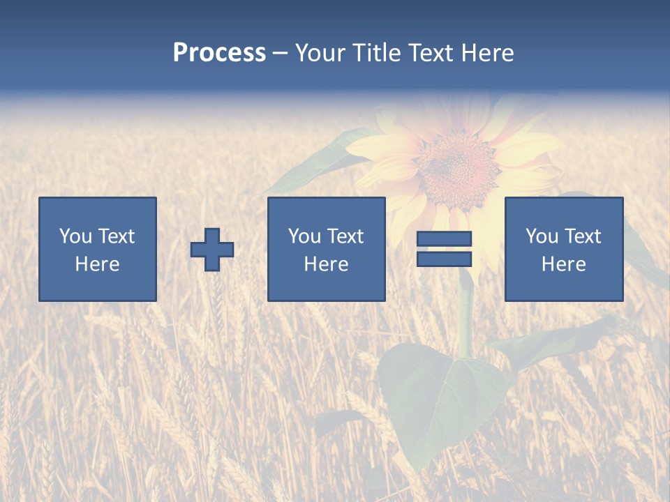 Wheat Sunflower PowerPoint Template