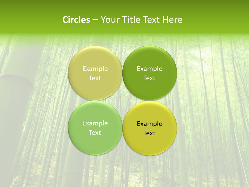 Bamboo PowerPoint Template
