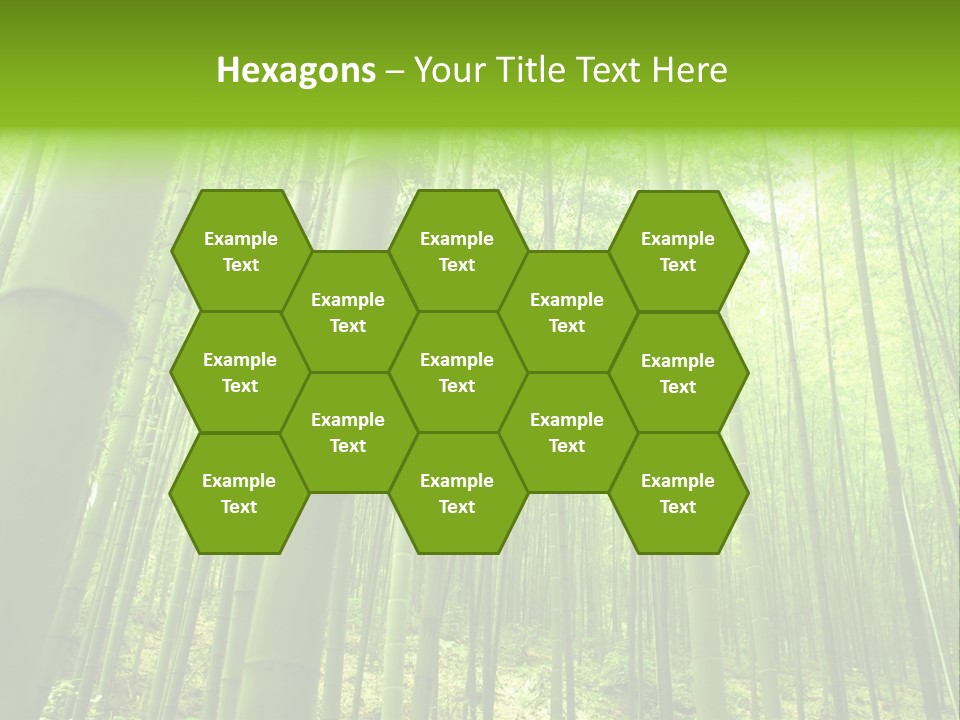 Bamboo PowerPoint Template