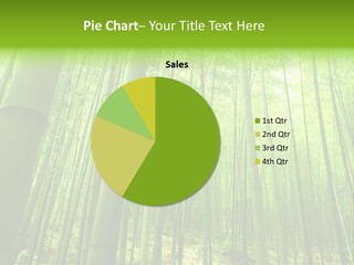 Bamboo PowerPoint Template