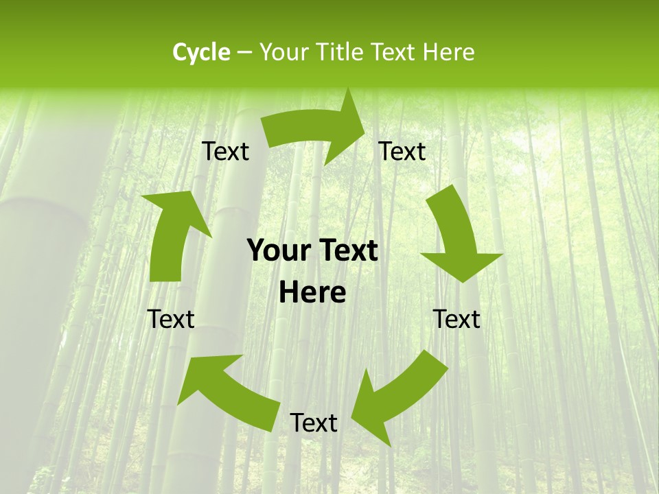 Bamboo PowerPoint Template