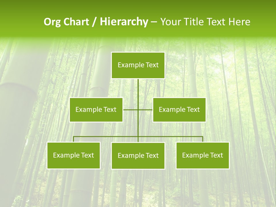 Bamboo PowerPoint Template