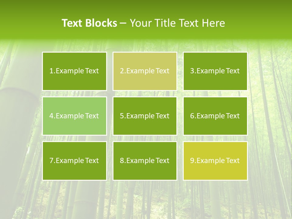 Bamboo PowerPoint Template