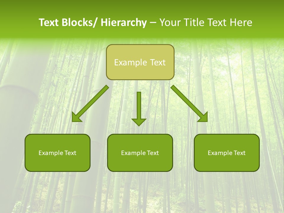 Bamboo PowerPoint Template