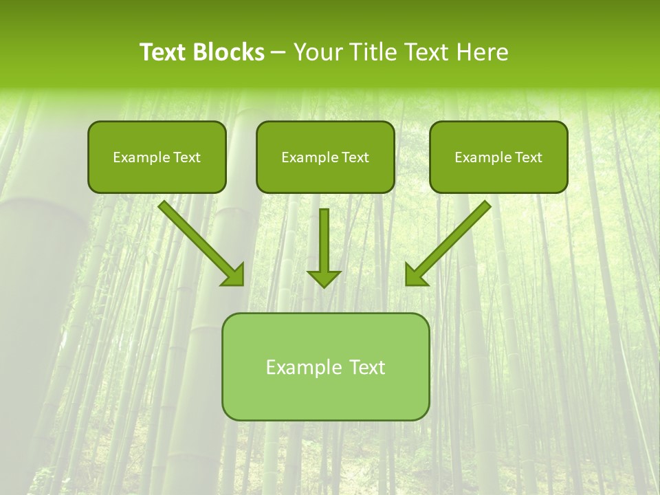 Bamboo PowerPoint Template