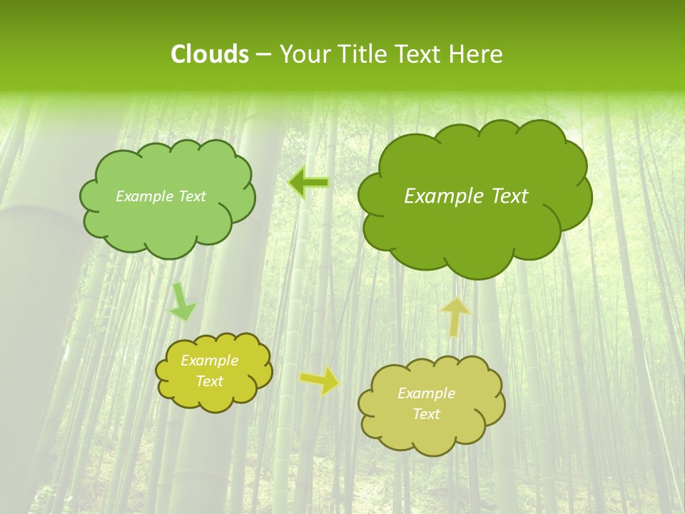 Bamboo PowerPoint Template