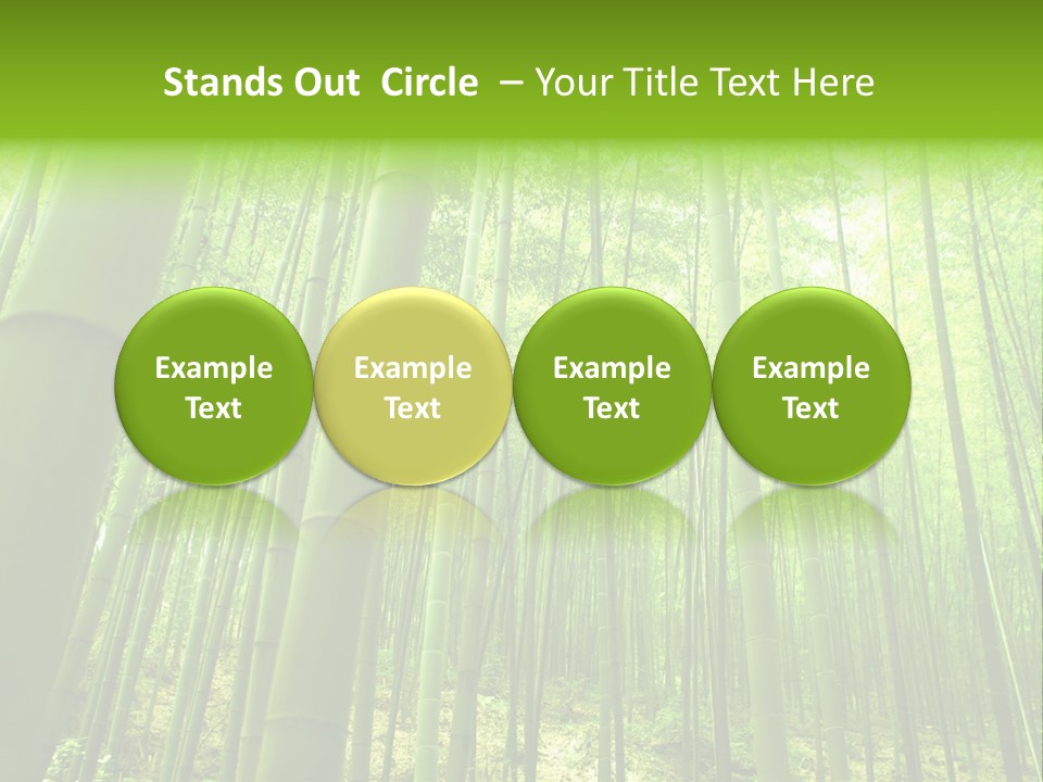 Bamboo PowerPoint Template