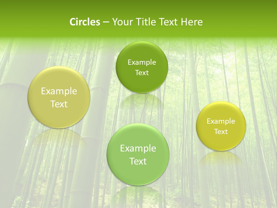 Bamboo PowerPoint Template