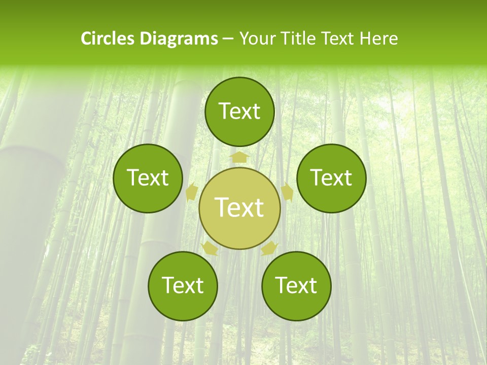 Bamboo PowerPoint Template