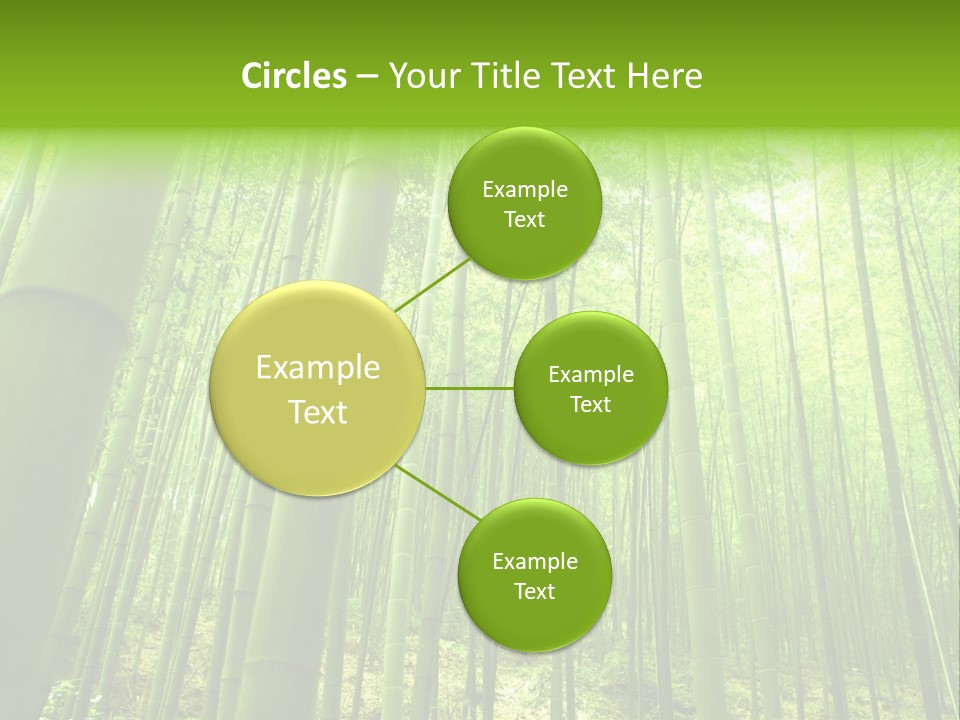 Bamboo PowerPoint Template