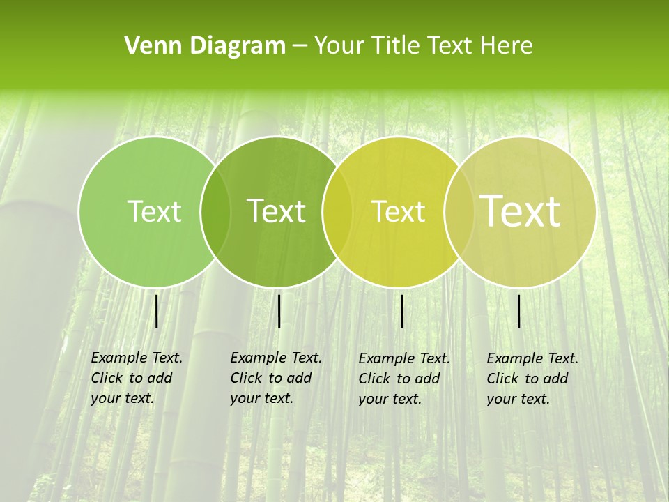 Bamboo PowerPoint Template