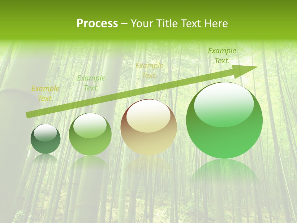 Bamboo PowerPoint Template