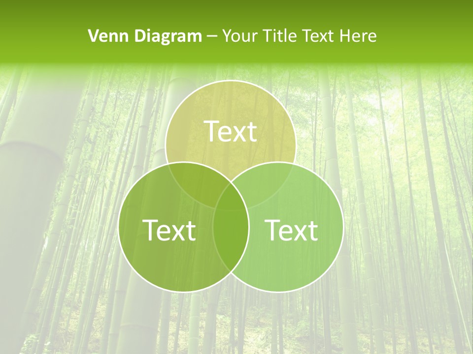 Bamboo PowerPoint Template