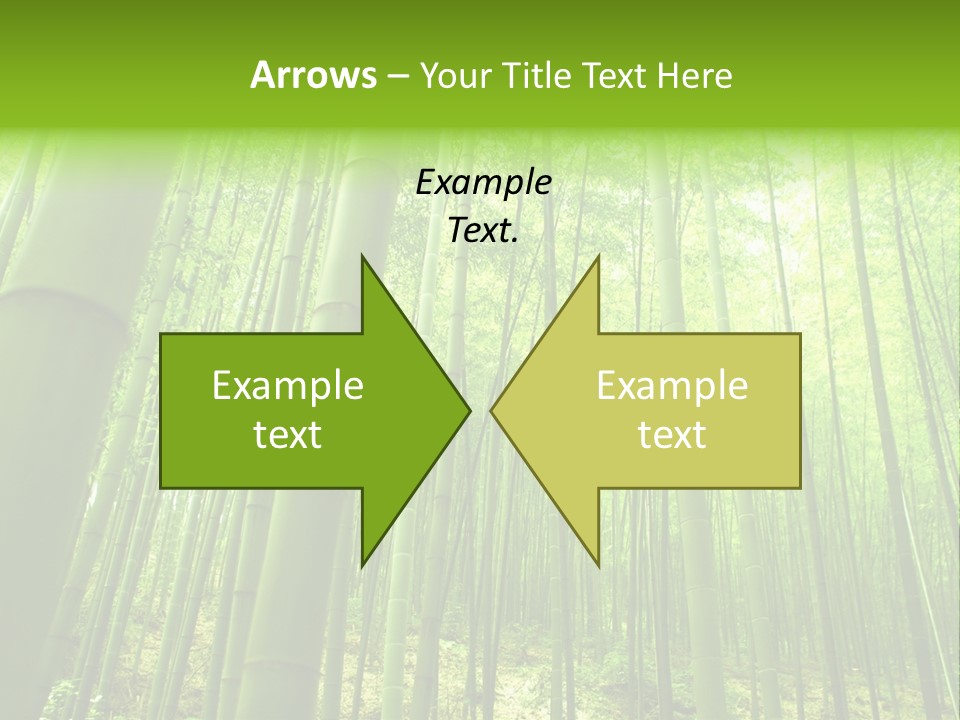 Bamboo PowerPoint Template