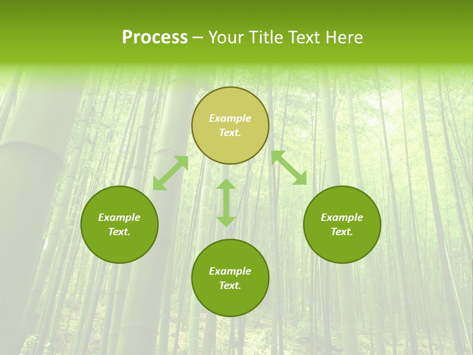 Bamboo PowerPoint Template