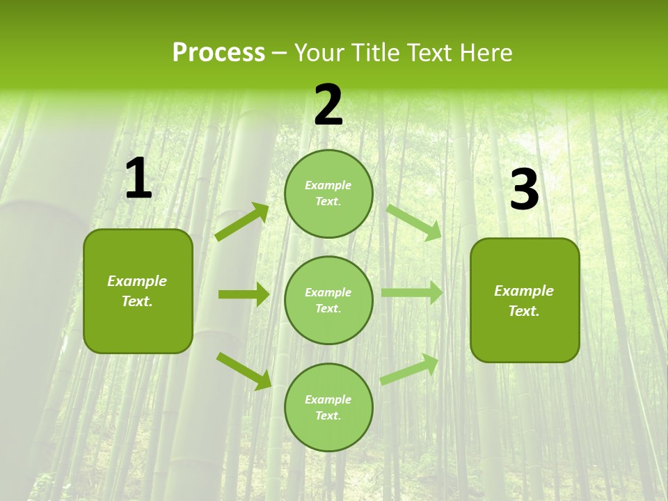 Bamboo PowerPoint Template
