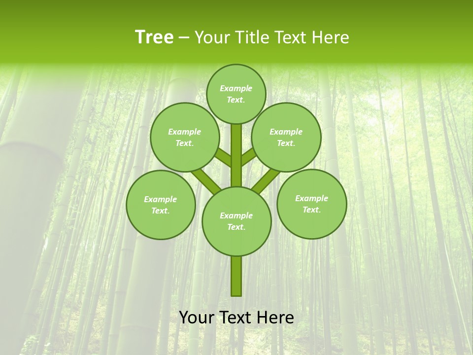 Bamboo PowerPoint Template