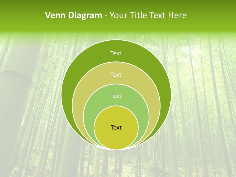 Bamboo PowerPoint Template