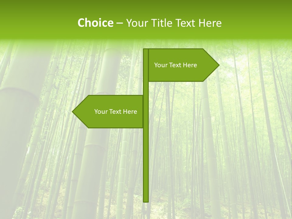 Bamboo PowerPoint Template