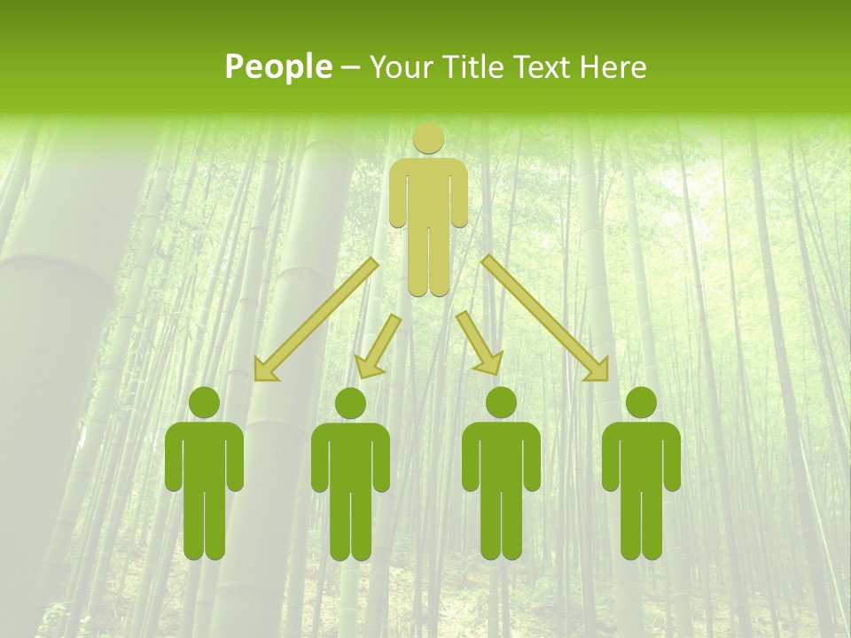 Bamboo PowerPoint Template