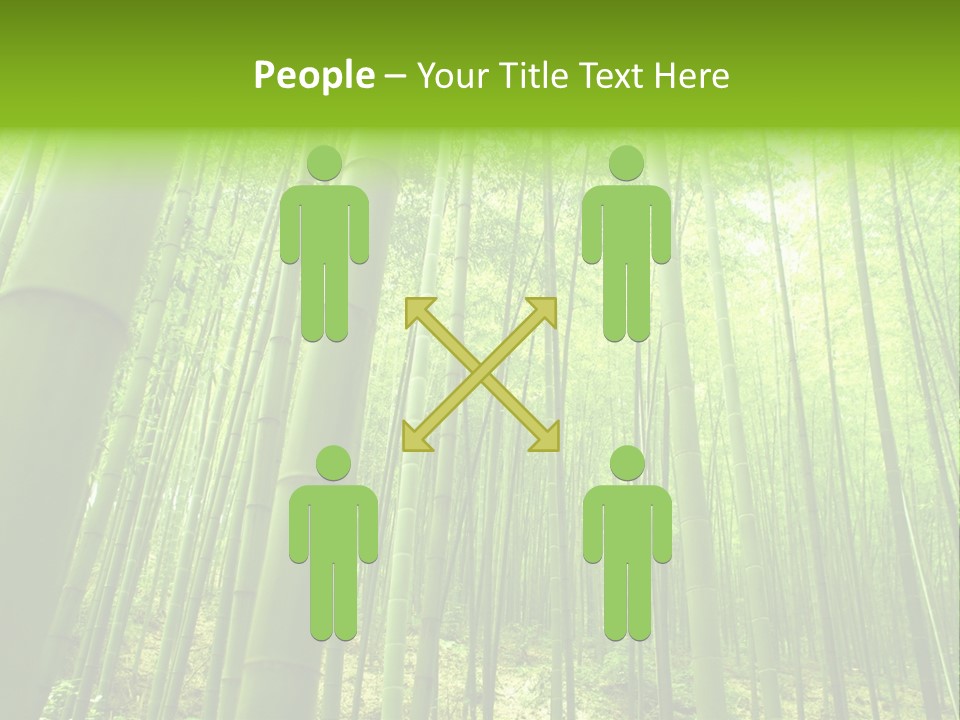 Bamboo PowerPoint Template